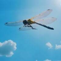 Leave It All Behind (Album Version)